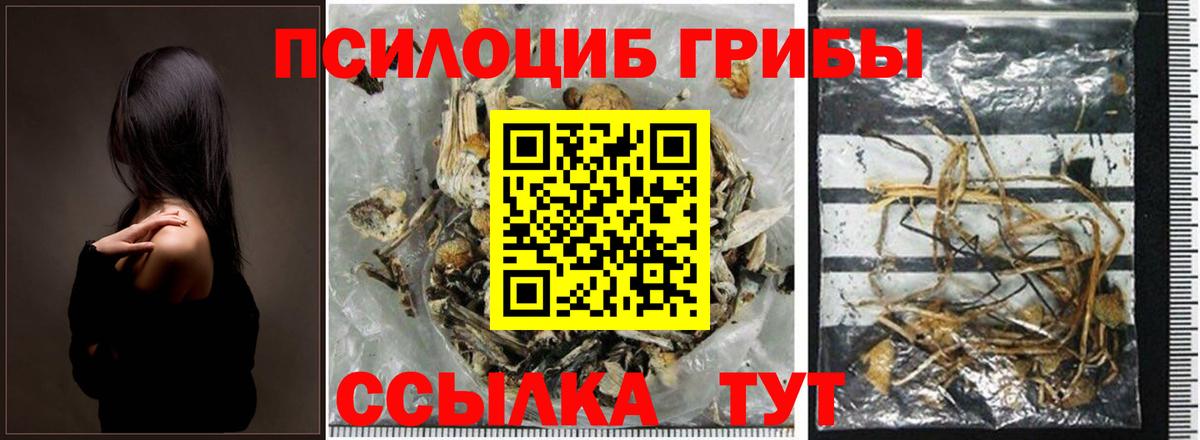 Галлюциногенные грибы Cubensis  Псилоцибиновые грибы Cubensis  Вход с VPN  Мурино 