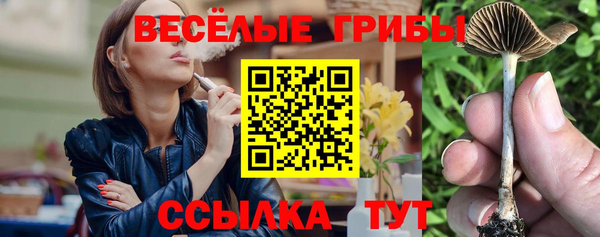 Галлюциногенные грибы ЛСД Мурино